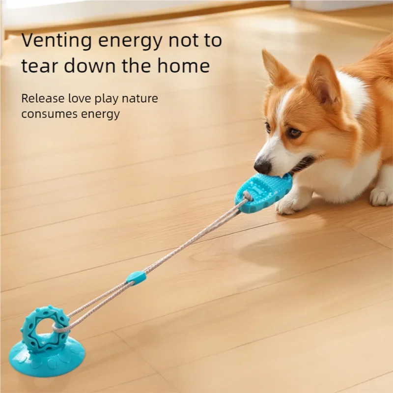 Zabawka dla psa – przyssawka, odporna na gryzienie