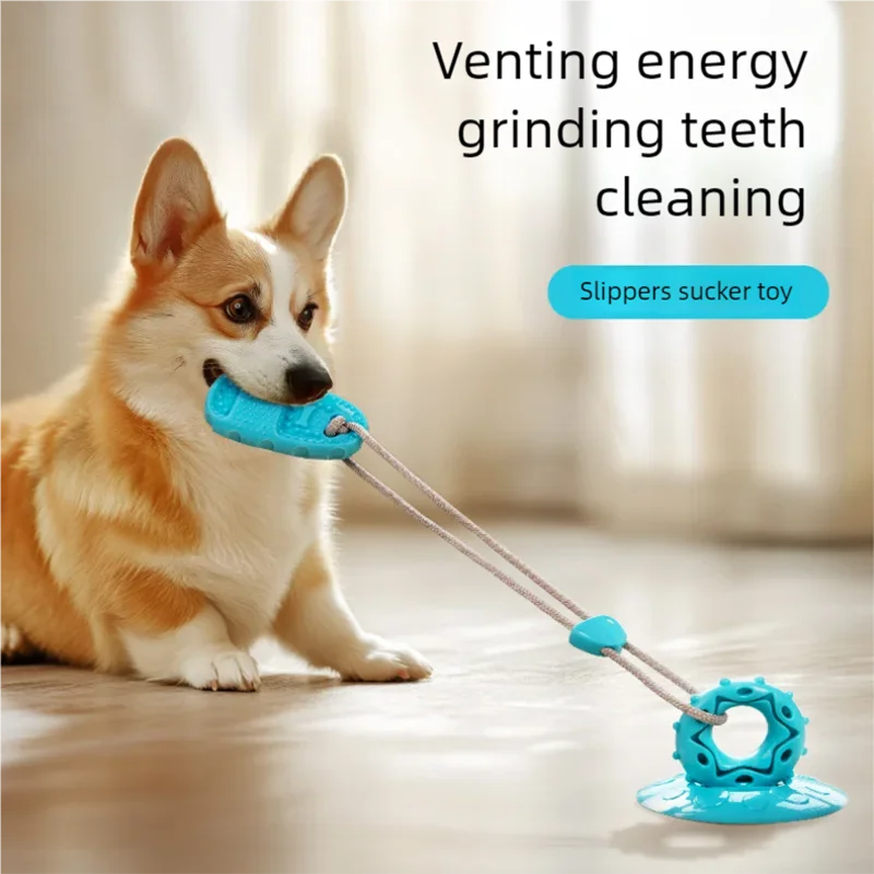 Zabawka dla psa – przyssawka, odporna na gryzienie