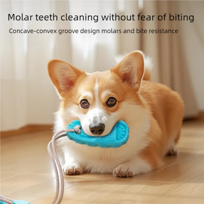 Zabawka dla psa – przyssawka, odporna na gryzienie