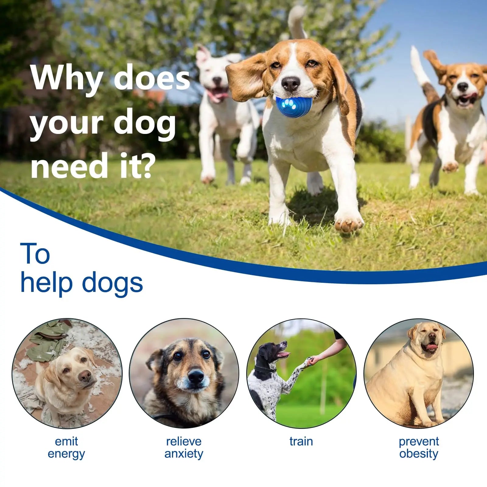 Interaktywna piłka dla psa – automatyczna zabawka